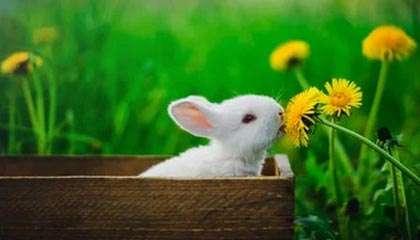 中乙：平分秋色 山东泰山B队1-1成都蓉城B队